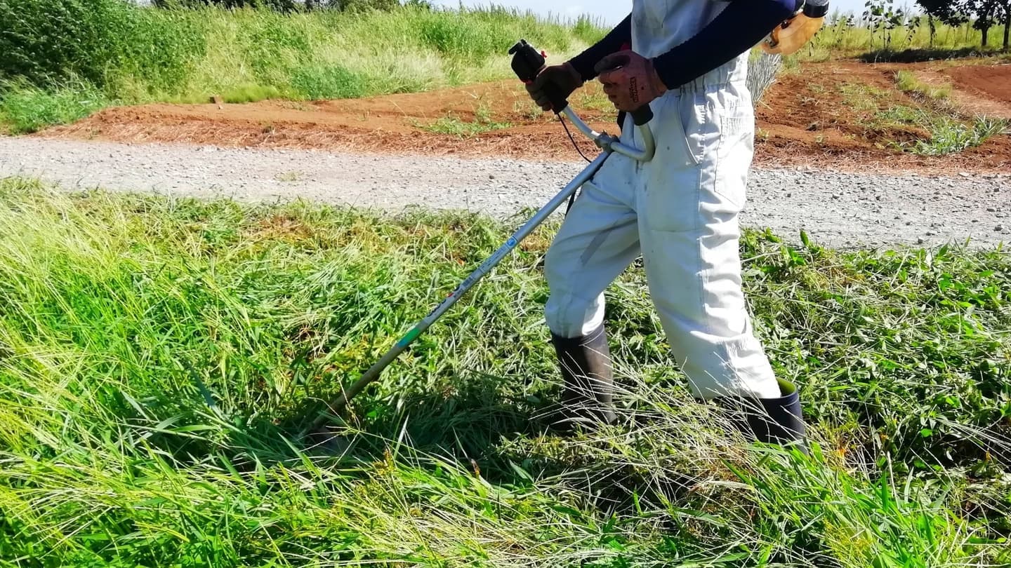 草刈り 春日井市 | 春日井市で草刈りならお庭の窓口春日井市