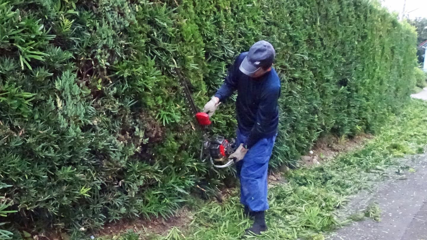生垣剪定 春日井市 | 春日井市で生垣剪定ならお庭の窓口春日井市