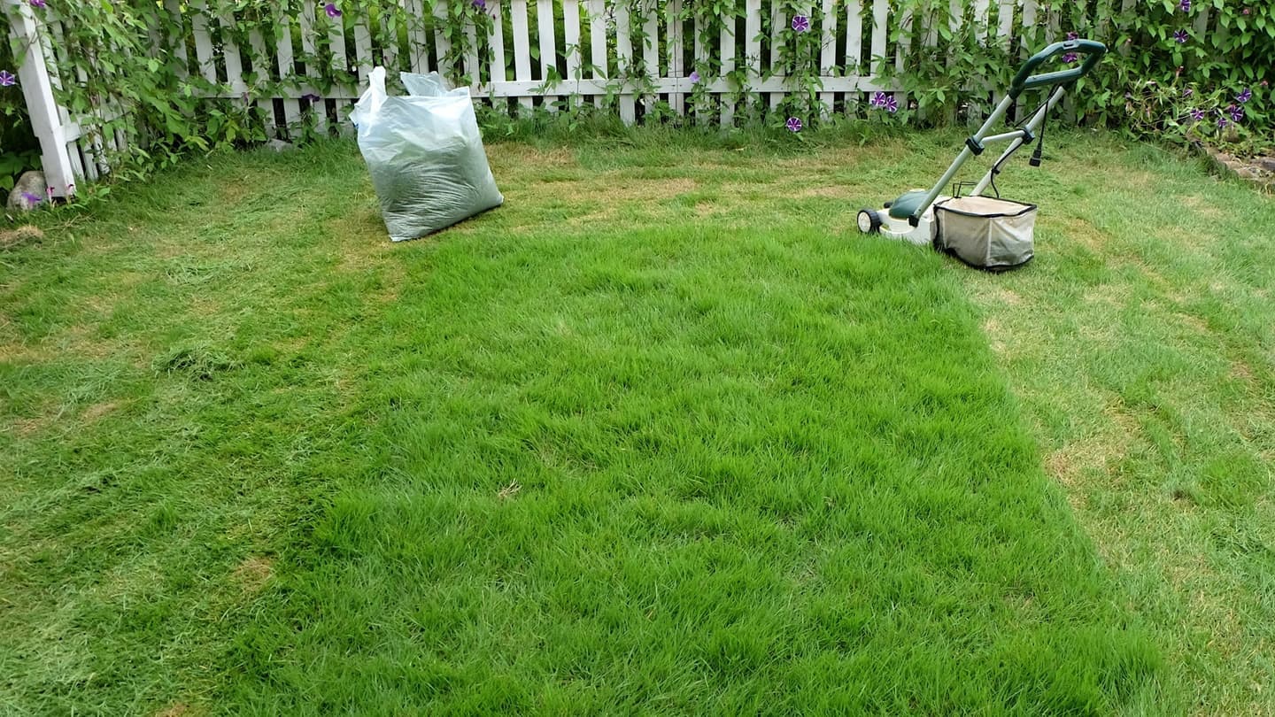 芝生の手入れ 春日井市 | 春日井市で芝生の手入れならお庭の窓口春日井市