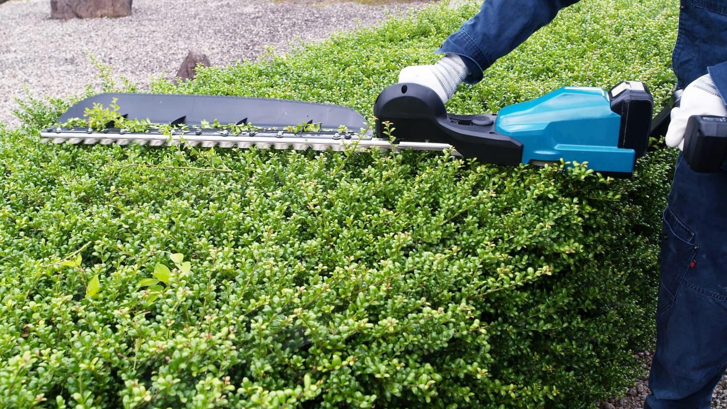植込み剪定 春日井市 | 春日井市で植込み剪定ならお庭の窓口春日井市